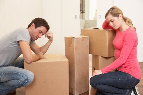 Professional movers handling compact relocation items
