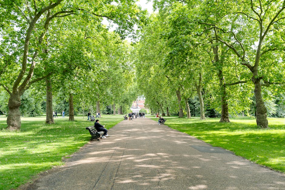 A row of white terraced houses with black wrought iron railings along a paved sidewalk in the Royal Borough of Kensington and Chelsea. The buildings have small front gardens with green foliage and flo